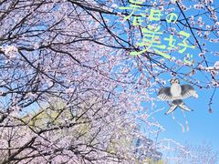 -太阳宫公园