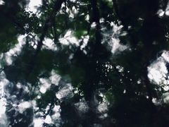 -大屏嶂森林公园