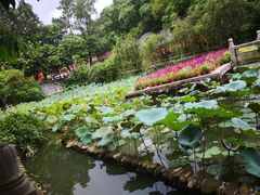 -国恩寺