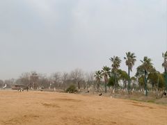 -瑶湖湿地自然保护区