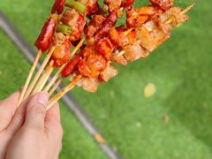 -大夫山顺驰自助烧烤场