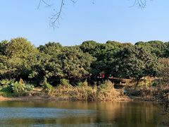 景点-松山湖梦幻百花洲