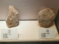-贵州省地质博物馆