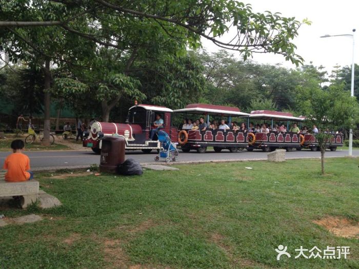 松山湖南湖湾露营营地图片