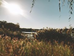 -北京麋鹿生态实验中心