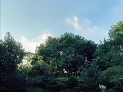 -徐家汇源景区-衡山公园