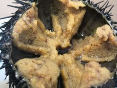 -海胆小馆(东北水饺·春柳店)