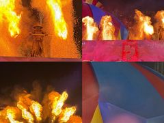 -海合安武汉极地海洋公园