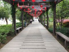 -白马涧龙池景区