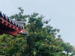 -千佛山风景名胜区-历山院