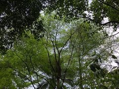 -广州近代史博物馆
