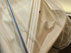 -桂花香手工面(鼓楼店)