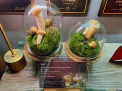 -原牛道·潮汕围炉火锅(讯美店)