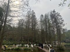 -重庆彩云湖湿地公园