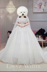 -Renee芮亦婚纱(原丽莎)