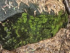 -会稽山峡洞漂流-上青古道