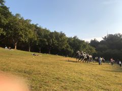 -广州雕塑公园