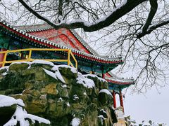 -颐和园