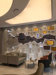 -云南吴氏嘉美医疗美容医院