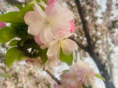 -元大都城垣遗址公园