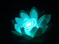 -印象普陀