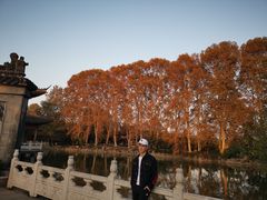 -焦山景区-万佛塔