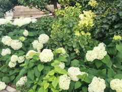 -意大利农场度假村