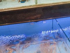 -阿伟海鲜楼·福建菜(延寿店)