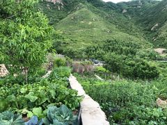 -白草畔自然风景区