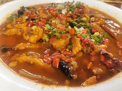 古镇泰安鱼-龙翔山庄雷鸡肉(青城后山泰安古镇店)