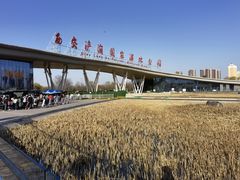 门面-西安浐灞国家湿地公园