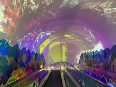 -成都浩海立方海洋公园