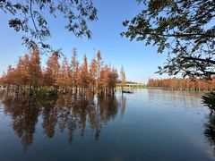 -白鹭湾湿地公园