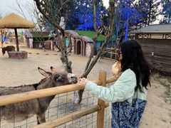 -茅山东方盐湖城景区