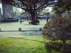 -御花园·粤菜·海鲜火锅(中山公园店)