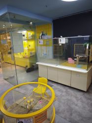-神奇动物撸宠馆·羊驼·小浣熊·异宠(豫园店)