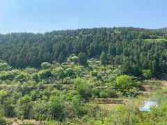 -龙洞风景区-藏龙涧