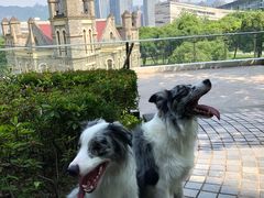 -重庆市江北嘴中央商务区中央公园