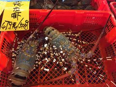 -79号渔船海鲜饭店(华强北店)