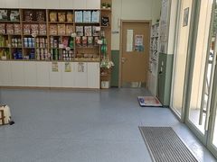 -爱佳宠物中心医院24H·CT·骨外科·猫专科(瑶海万达店)