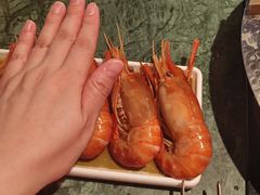 -牛New寿喜烧(曹路花园城店)