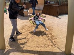 -黄海国家森林公园