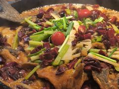 -老板恋上鱼(恒隆广场店)