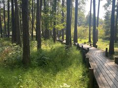 -东湖落雁景区