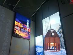 -挂雪铁锅炖大鹅