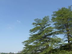 -海珠湖公园