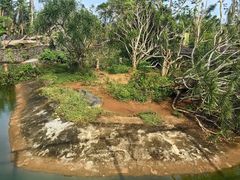 -海南热带野生动植物园