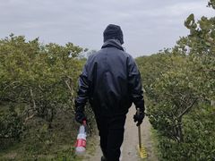 -北海金海湾红树林生态旅游区