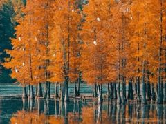 -白鹭湾湿地公园