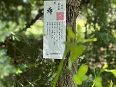 -翠湖国家城市湿地公园